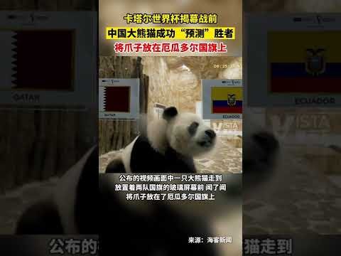 欧预赛,首轮战捷克,击败波兰,牛彩网,体育赛事资讯,足球赛事信息,篮球赛事数据,体育比赛资讯
